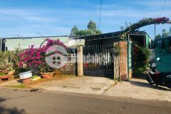 Bán nhà mặt tiền hẻm 196 lê phụng hiểu, phường lộc tiến, 183m2 shr 2.1 tỷ. lh0935083778.