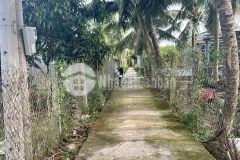 Bán đất vườn, hl90b, mỹ phong, mỹ tho