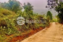 Siêu rẻ đất lạc sơn, hòa bình 1270m2, giá 600 triệu