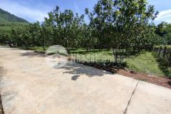 Bán vườn bưởi khánh trung khánh vĩnh giá rẻ điện nước đầy đủ