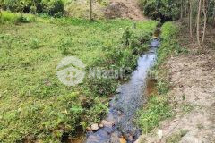 Bán đất vườn khánh thượng giá rẻ giáp suối chảy quanh năm