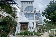 Biệt thự kinh doanh view rừng thông cực đỉnh p10