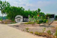 Chủ ngộp bank cần bán lô đất xây trọ ngay p minh thành tx chơn thành