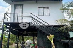 Cần bán căn nhà vườn 709m2 ngay gò dầu tây ninh, shr, giá 450 triệu.