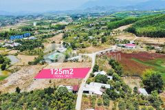 Bán đất diên lâm giá rẻ sát bên tỉnh lộ 8 đường thông