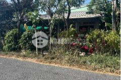 Bán nhà ấp thuận an xã long thuận tp gò công, 1187m2 shr 2.7 tỷ. lh0385867784