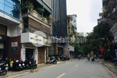 Bán nhà tô vĩnh diện 50m2, mt6m, khu phân lô gara ôtô giá 11 tỷ