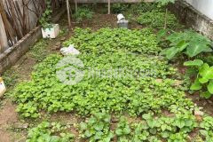 Bán đất mặt phố thanh lân 80m lô góc khoàng mai