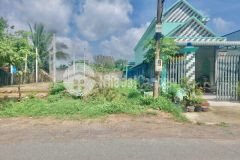 Cần bán gấp lo tiền con đi xuất khẩu