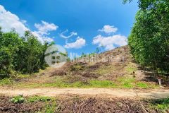 Bán đất vườn khánh đông giá rẻ gần tỉnh lộ 8 đường bê tông thông