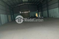 Kho mặt tiền xã hưng long,bình chánh dt 900m2 giá 26 tỷ