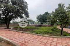 Cần bán.bán nhanh lô đất tâm huyết tai huyện lương sơn tỉnh hoà bình