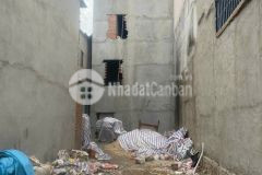 Đất thổ cư 36532 lê văn quới,bình trị đông a,bình tân dt 60m2 giá 3ty850