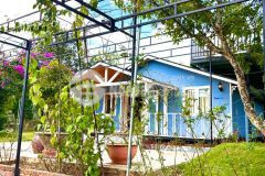 Bán 2000m2 đất tà nung tp đà lạt, có sẵn vườn nhiều loại trái cây, 12tỉ, lh 0888 113 882