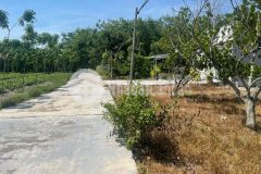 Chính chủ cần bán gấp lô đất chơn thành giá ngộp cho anh em đầu tư,