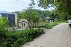 Tôi có 3 lô đất tại minh thành chơn thành bình phước lúc mua giá 850tr cần bán gấp để trả nợ nần với