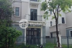 Phải thật nhanh thanh khoản lợi nhuận