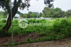 Bán nhanh đất lương sơn, hòa bình 338m2, giá 1,5 tỷ