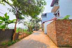 Thanh trì bán lô đất 99m2 mặt tiền hơn 4m lô góc ngõ thông ô tô tránh chưa đến 5 tỷ