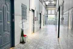 Gấp 2 dãy trọ 10 phòng ở tân thông hội củ chi 6x40 235m2 550 triệu, sổ hồng riêng