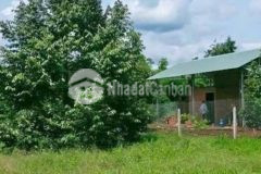 Chính chủ cần bán gấp lô đất giá ngộp cho anh em đầu tư,