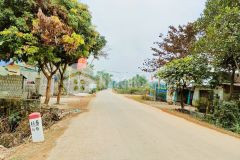 242m2 mặt tiền 10m chia 2 sổ 1.99 tỷ 21a thị trấn 3 đồi lạc thủy hb