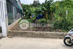 Siêu phẩm đất full thổ cư ở thạnh đức gò dàu 6x30 170m2 250 triệu, sổ hồng riêng