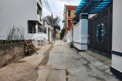 Đất thái bình mai lâm đông anh dt 115m² mt 7,8m nhỉnh 4 tỷ