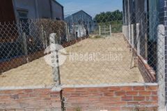 Chủ nợ dí lô đất gần thị trấn gò dầu 5x25 126m2 200 triệu, sổ hồng riêng