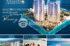 Căn hộ được tìm kiếm nhiều nhất những tháng gần đây the maestro quy nhơn