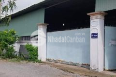 Bán kho xưởng tại xã tân phú trung, củ chi diện tích 1500 mét vuông