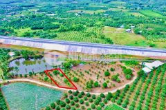 Bán vườn xoài suối tiên giá rẻ giáp hồ nước sát bên nhà dân