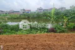 Bán đất dịch vụ tích sơn, tích sơn, vĩnh yên, vĩnh phúc. lh 0986934038
