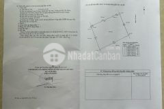 Bán 2 lô đất vườn đường lò lu, long trường, quận 9, dt 3000m2 và 1400m2giá 5trm2