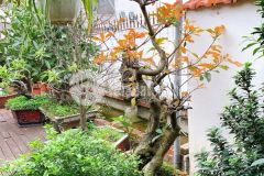 Bán căn hộ chung cư duplex khu dtm trung văn 4 ngủ đẹp như biệt thự