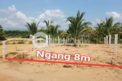 Bán đất khánh đông giá rẻ full thổ cư đường bê tông thông