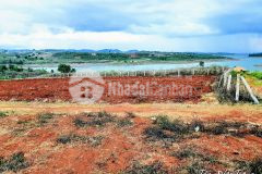Bán 14.000m2 đất view hồ đại ninh xã tà hine,đức trọng,lâm đồng giá 11 tỷ tl