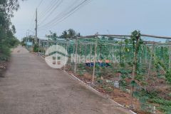 B.á.n 2 công đất nền gần biển rạch bùn, gò công đông, tiền giang