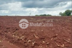 Cần bán gấp đất dt lớn ở đồng tiến