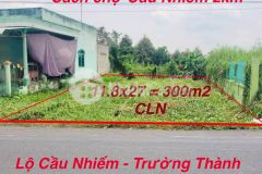 Nền đẹp 300m2 mặt tiền lộ nhựa 8m, cầu nhiếm trường thành, phong điền