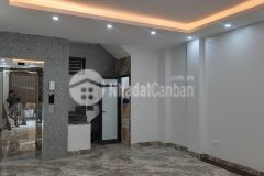 Cho thuê nhà mặt đường trần bình mai dịch 50m x 6t giá 39tr, vỉa hè, thang máy, kinh doanh