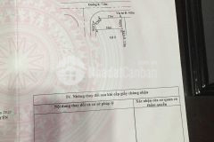 Bán đất tái định cư bắc sông cấm thủy nguyên hải phòng. lh 0829582345