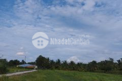 Đất đường bà tư gạo, phước thạnh, mỹ tho, tiền giang