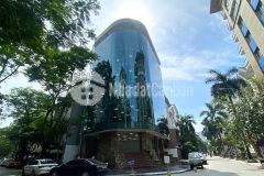 Ban toa văn phong vip 8 tâng măt phô dich vong hâu. vi tri lô goc. dt 297m2. gia 215 ty