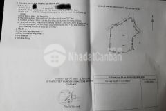 Bán đất, bán nhanh lô đất đẹp tại xã cư yên huyện lương sơn tỉnh hoà bình