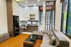 Chỉ có 9.5 tỷ thôi, phố nguyễn thị thập,, ô tô đỗ cổng, lô góc, dt 65mx5 tầng.