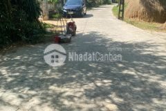 Lô đất hơn 1600m2 có 300m2 đất ở 7xxtr