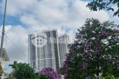 Bán đất biệt thự kđt cao xanh hà khánh a, hạ long