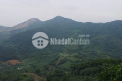 Bán đất rừn sản xuất lương sơn, hòa bình 120ha, giá 48 tỷ