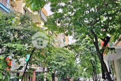 Bán gấp nhà phố võ thị sáu, gần hồ, sổ vuôngdt 85m2, 4 tầng, mt 6m, 14tỷ